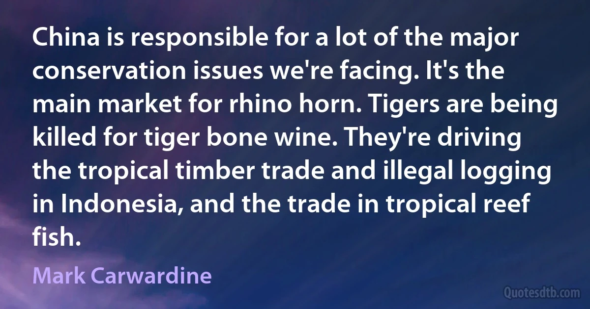 China is responsible for a lot of the major conservation issues we're facing. It's the main market for rhino horn. Tigers are being killed for tiger bone wine. They're driving the tropical timber trade and illegal logging in Indonesia, and the trade in tropical reef fish. (Mark Carwardine)