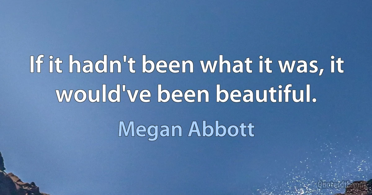 If it hadn't been what it was, it would've been beautiful. (Megan Abbott)