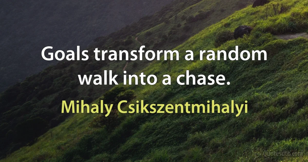 Goals transform a random walk into a chase. (Mihaly Csikszentmihalyi)