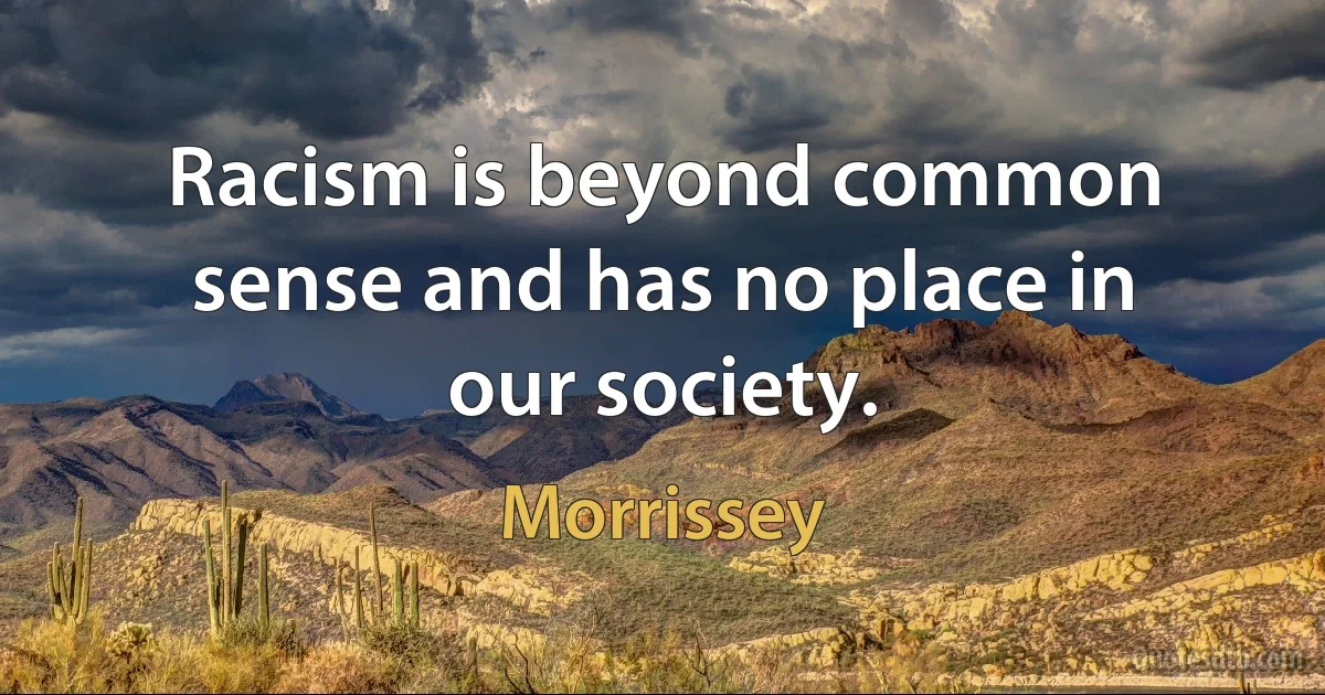 Racism is beyond common sense and has no place in our society. (Morrissey)