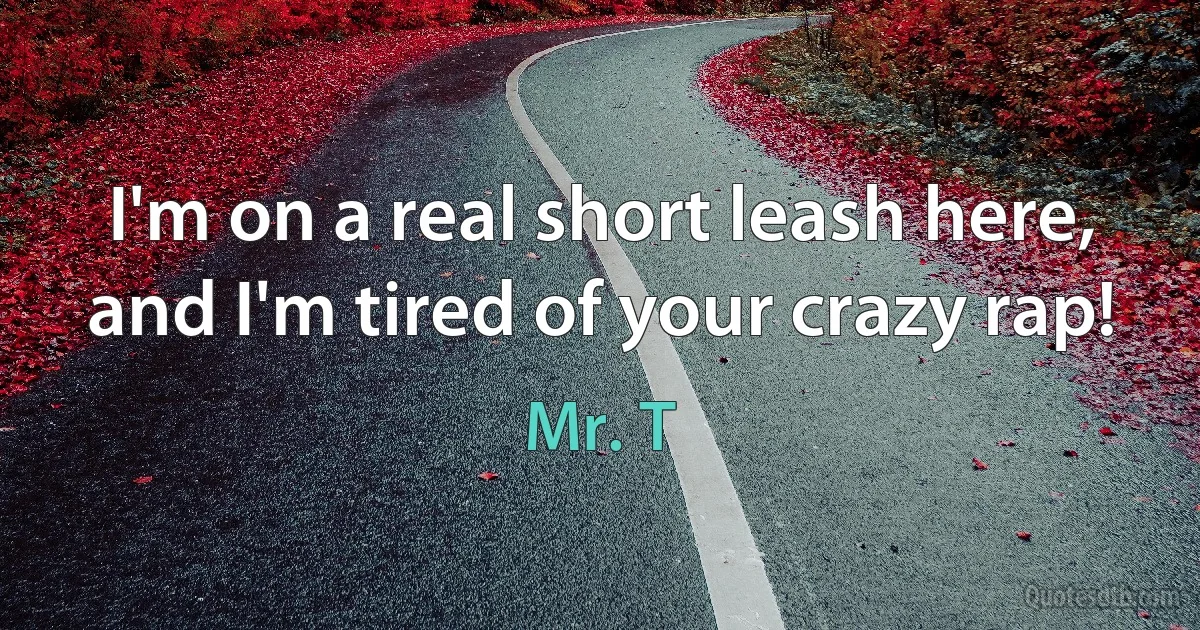 I'm on a real short leash here, and I'm tired of your crazy rap! (Mr. T)