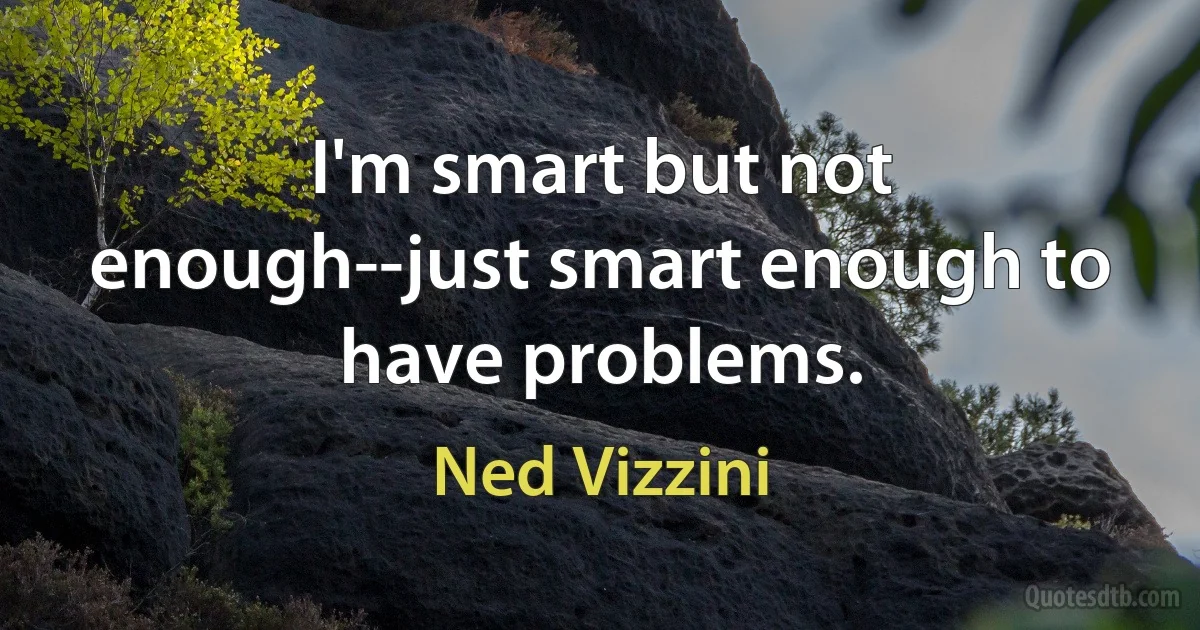 I'm smart but not enough--just smart enough to have problems. (Ned Vizzini)