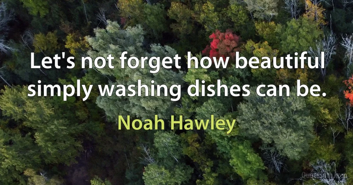 Let's not forget how beautiful simply washing dishes can be. (Noah Hawley)