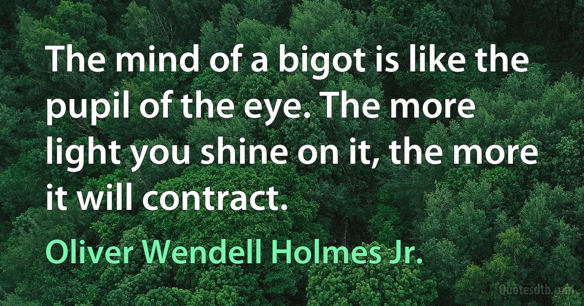 The mind of a bigot is like the pupil of the eye. The more light you shine on it, the more it will contract. (Oliver Wendell Holmes Jr.)