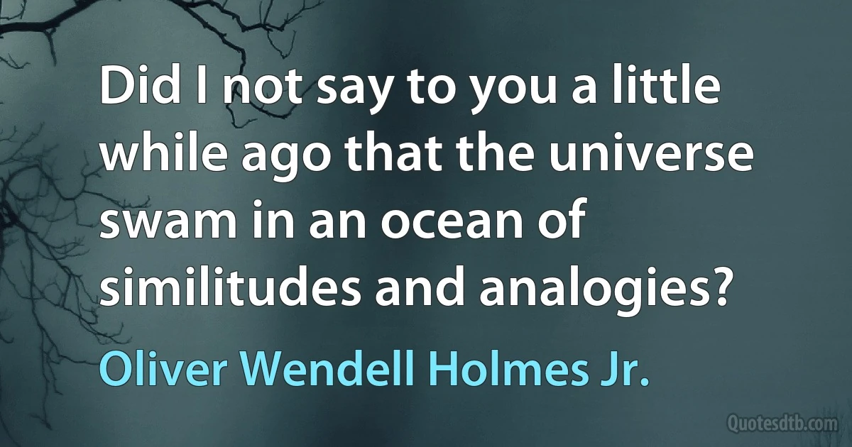 Did I not say to you a little while ago that the universe swam in an ocean of similitudes and analogies? (Oliver Wendell Holmes Jr.)