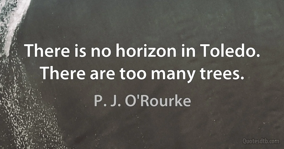 There is no horizon in Toledo. There are too many trees. (P. J. O'Rourke)