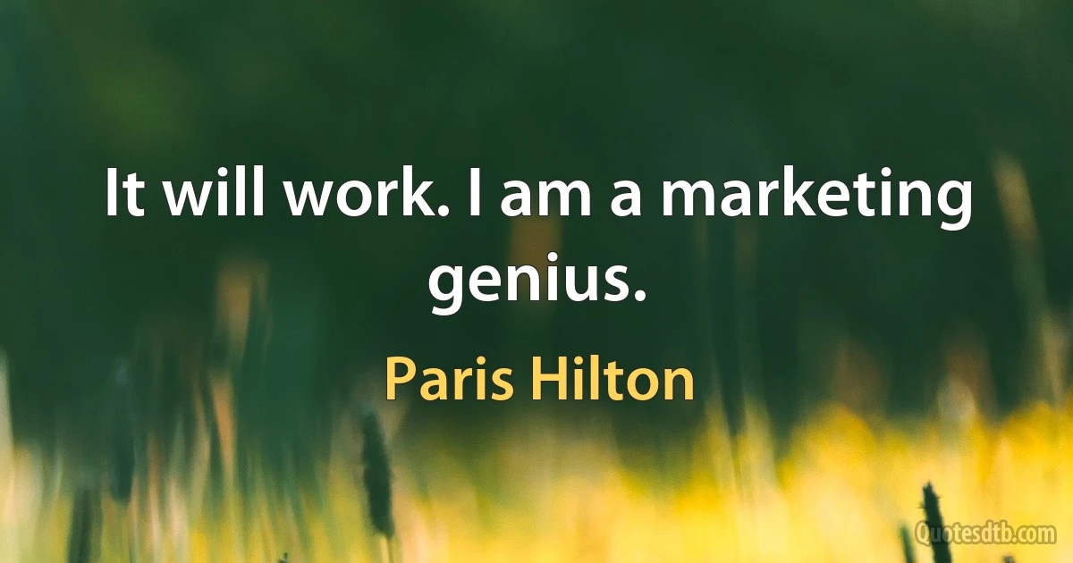 It will work. I am a marketing genius. (Paris Hilton)