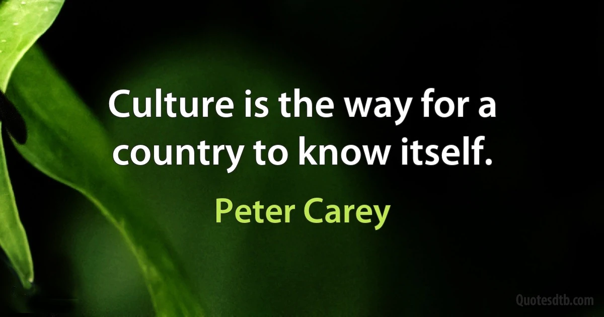 Culture is the way for a country to know itself. (Peter Carey)