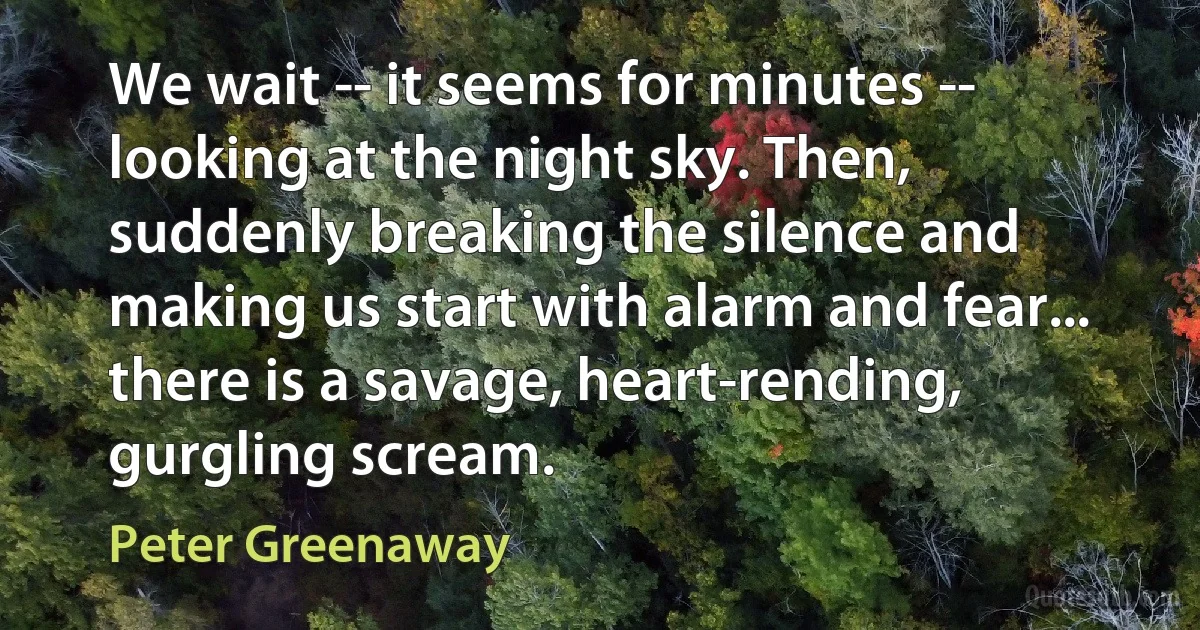 We wait -- it seems for minutes -- looking at the night sky. Then, suddenly breaking the silence and making us start with alarm and fear... there is a savage, heart-rending, gurgling scream. (Peter Greenaway)