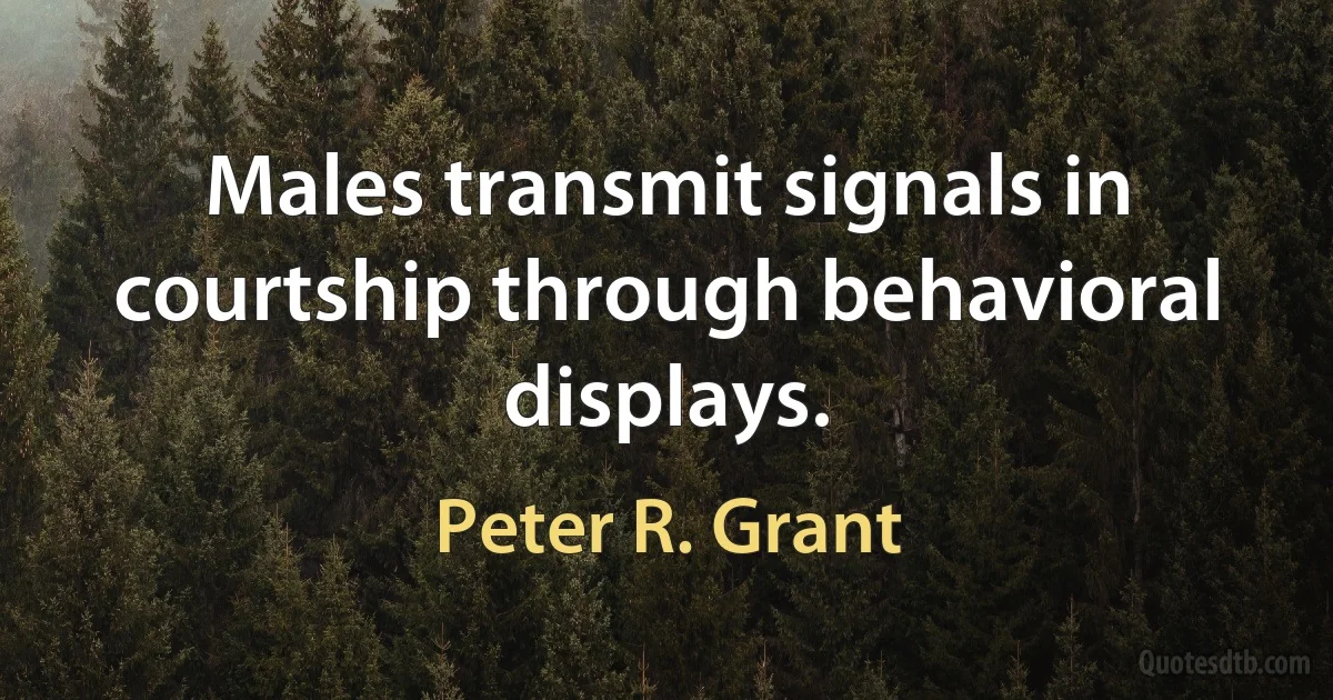 Males transmit signals in courtship through behavioral displays. (Peter R. Grant)