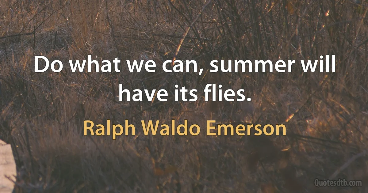 Do what we can, summer will have its flies. (Ralph Waldo Emerson)