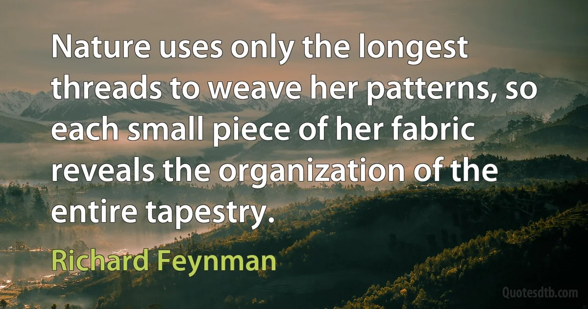 Nature uses only the longest threads to weave her patterns, so each small piece of her fabric reveals the organization of the entire tapestry. (Richard Feynman)