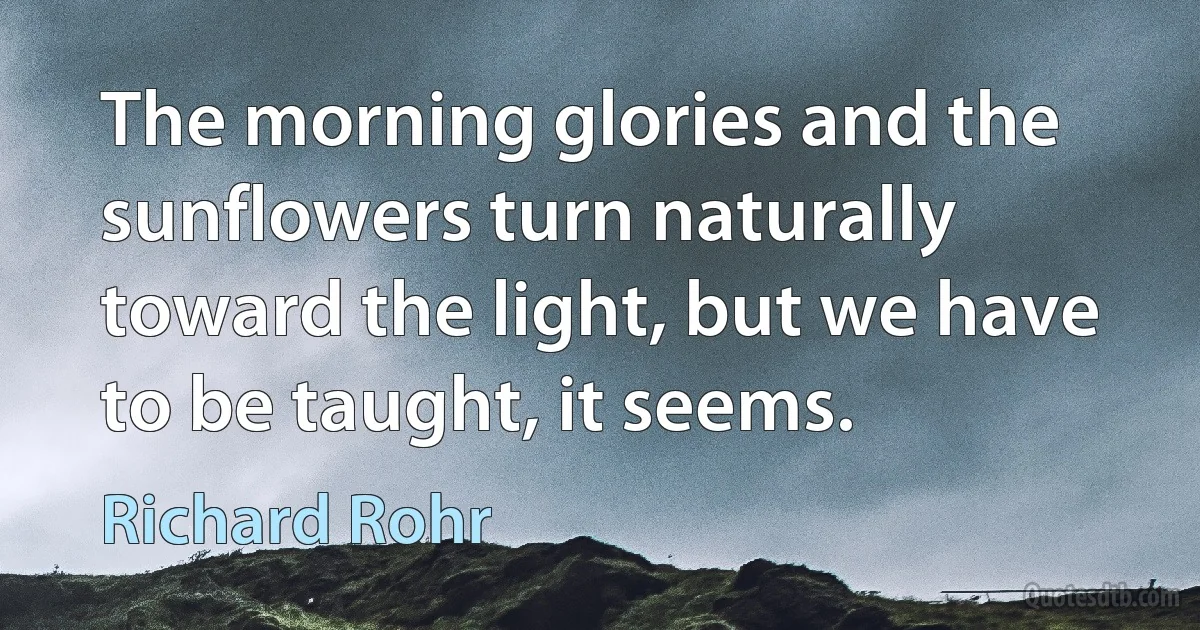 The morning glories and the sunflowers turn naturally toward the light, but we have to be taught, it seems. (Richard Rohr)