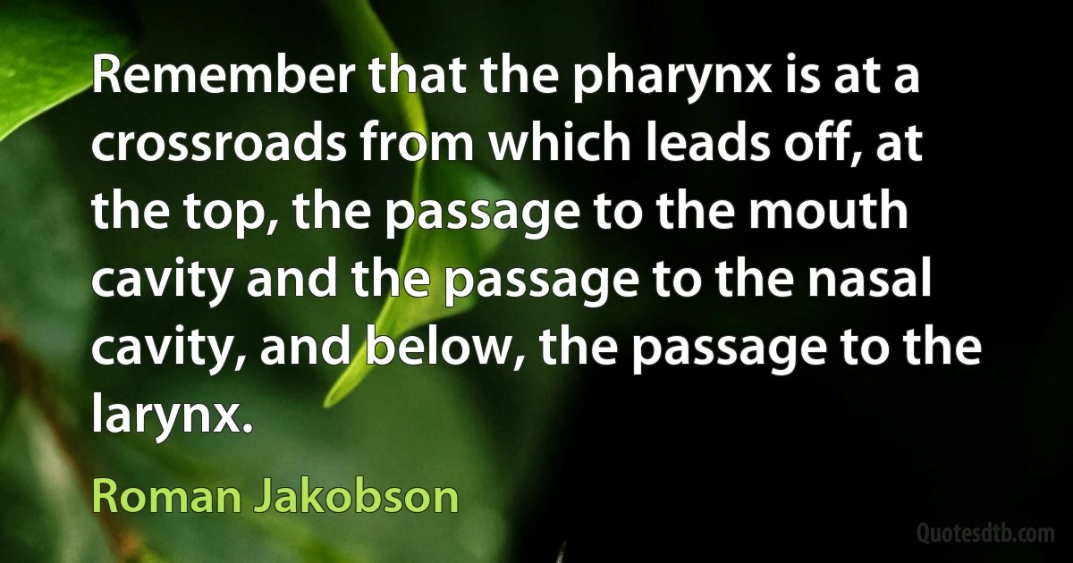 Remember that the pharynx is at a crossroads from which leads off, at the top, the passage to the mouth cavity and the passage to the nasal cavity, and below, the passage to the larynx. (Roman Jakobson)