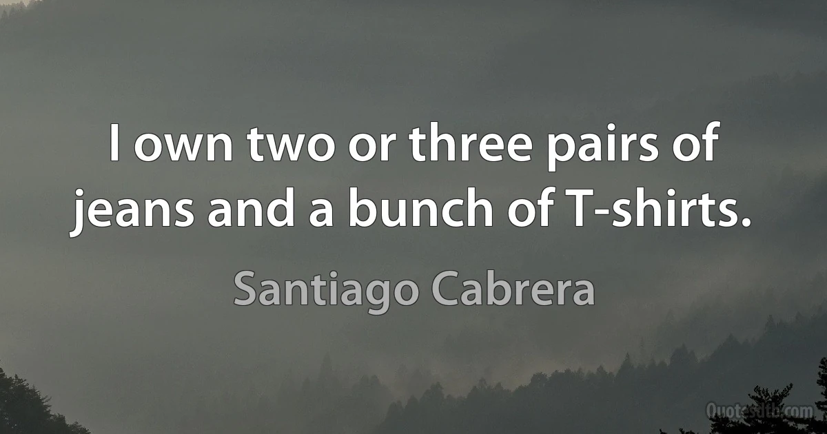 I own two or three pairs of jeans and a bunch of T-shirts. (Santiago Cabrera)