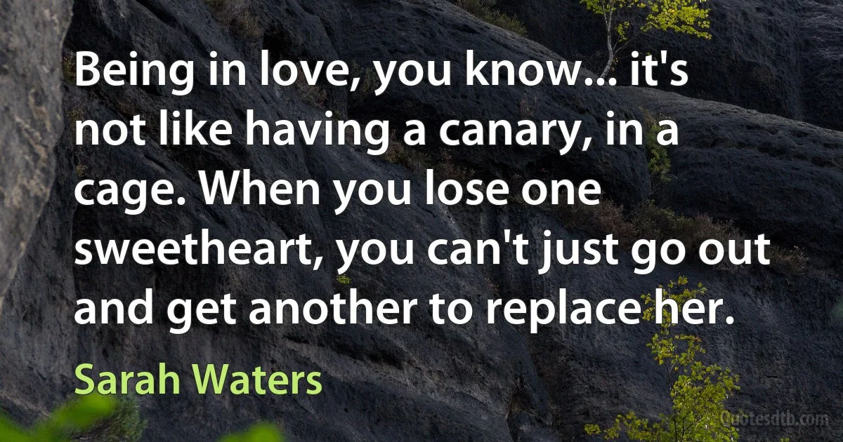 Being in love, you know... it's not like having a canary, in a cage. When you lose one sweetheart, you can't just go out and get another to replace her. (Sarah Waters)