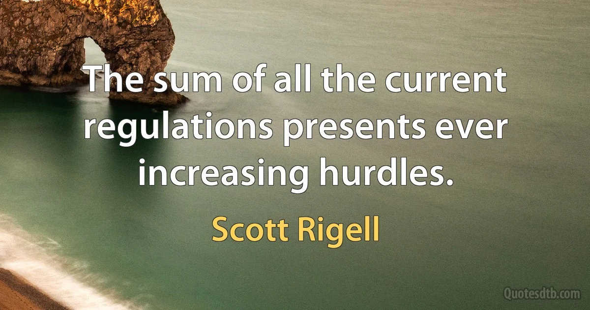 The sum of all the current regulations presents ever increasing hurdles. (Scott Rigell)