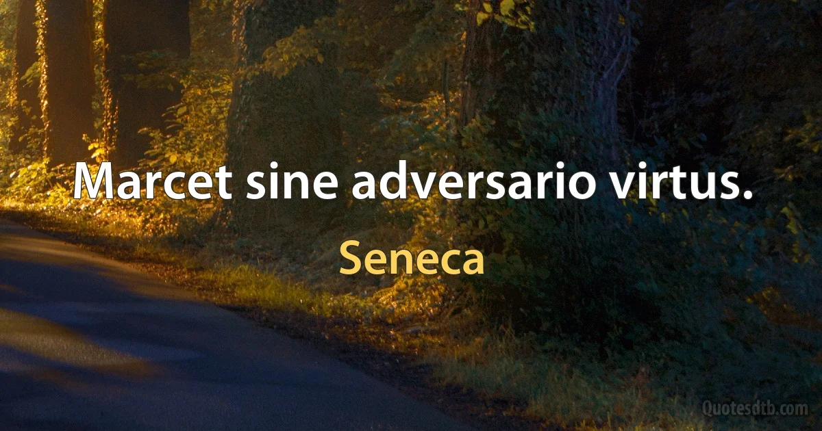 Marcet sine adversario virtus. (Seneca)