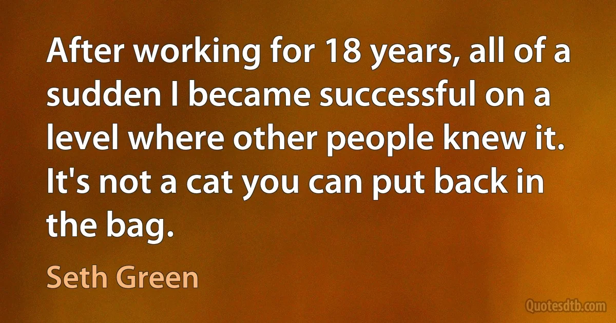 After working for 18 years, all of a sudden I became successful on a level where other people knew it. It's not a cat you can put back in the bag. (Seth Green)