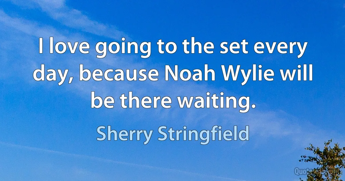 I love going to the set every day, because Noah Wylie will be there waiting. (Sherry Stringfield)