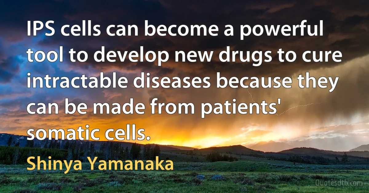 IPS cells can become a powerful tool to develop new drugs to cure intractable diseases because they can be made from patients' somatic cells. (Shinya Yamanaka)