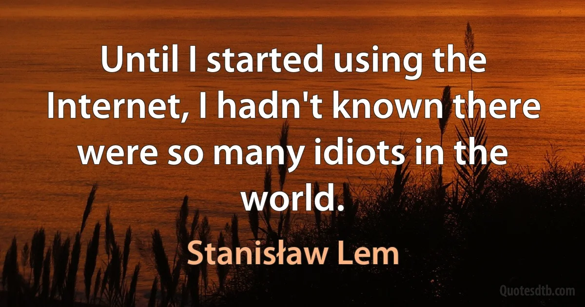 Until I started using the Internet, I hadn't known there were so many idiots in the world. (Stanisław Lem)