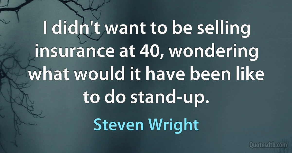 I didn't want to be selling insurance at 40, wondering what would it have been like to do stand-up. (Steven Wright)