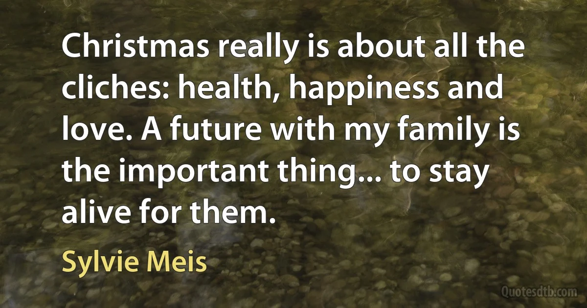 Christmas really is about all the cliches: health, happiness and love. A future with my family is the important thing... to stay alive for them. (Sylvie Meis)