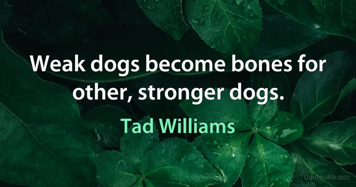 Weak dogs become bones for other, stronger dogs. (Tad Williams)