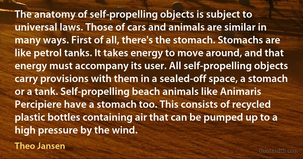 The anatomy of self-propelling objects is subject to universal laws. Those of cars and animals are similar in many ways. First of all, there's the stomach. Stomachs are like petrol tanks. It takes energy to move around, and that energy must accompany its user. All self-propelling objects carry provisions with them in a sealed-off space, a stomach or a tank. Self-propelling beach animals like Animaris Percipiere have a stomach too. This consists of recycled plastic bottles containing air that can be pumped up to a high pressure by the wind. (Theo Jansen)