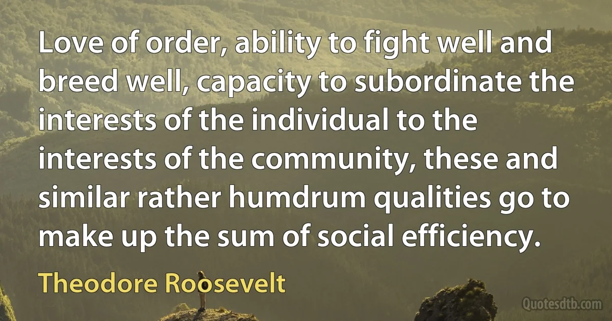 Love of order, ability to fight well and breed well, capacity to subordinate the interests of the individual to the interests of the community, these and similar rather humdrum qualities go to make up the sum of social efficiency. (Theodore Roosevelt)