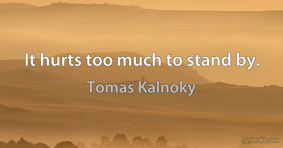 It hurts too much to stand by. (Tomas Kalnoky)