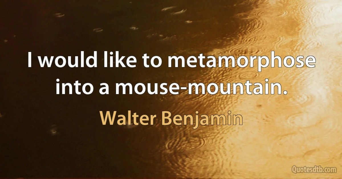 I would like to metamorphose into a mouse-mountain. (Walter Benjamin)