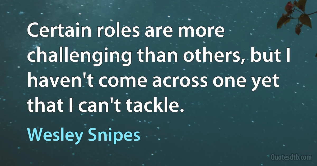 Certain roles are more challenging than others, but I haven't come across one yet that I can't tackle. (Wesley Snipes)