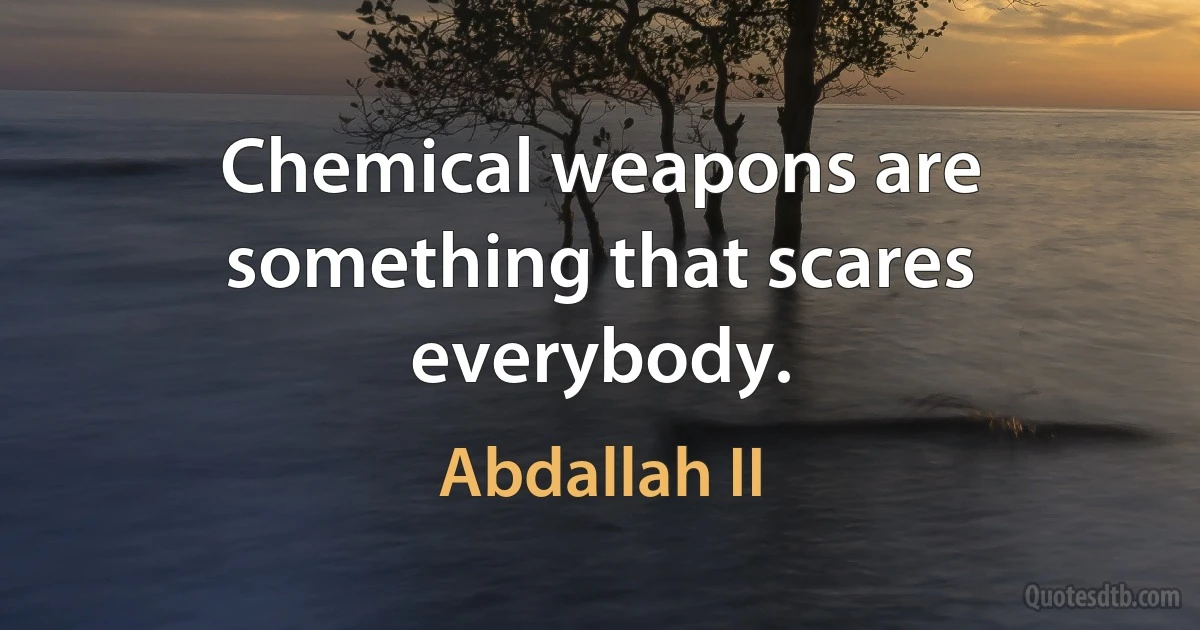 Chemical weapons are something that scares everybody. (Abdallah II)