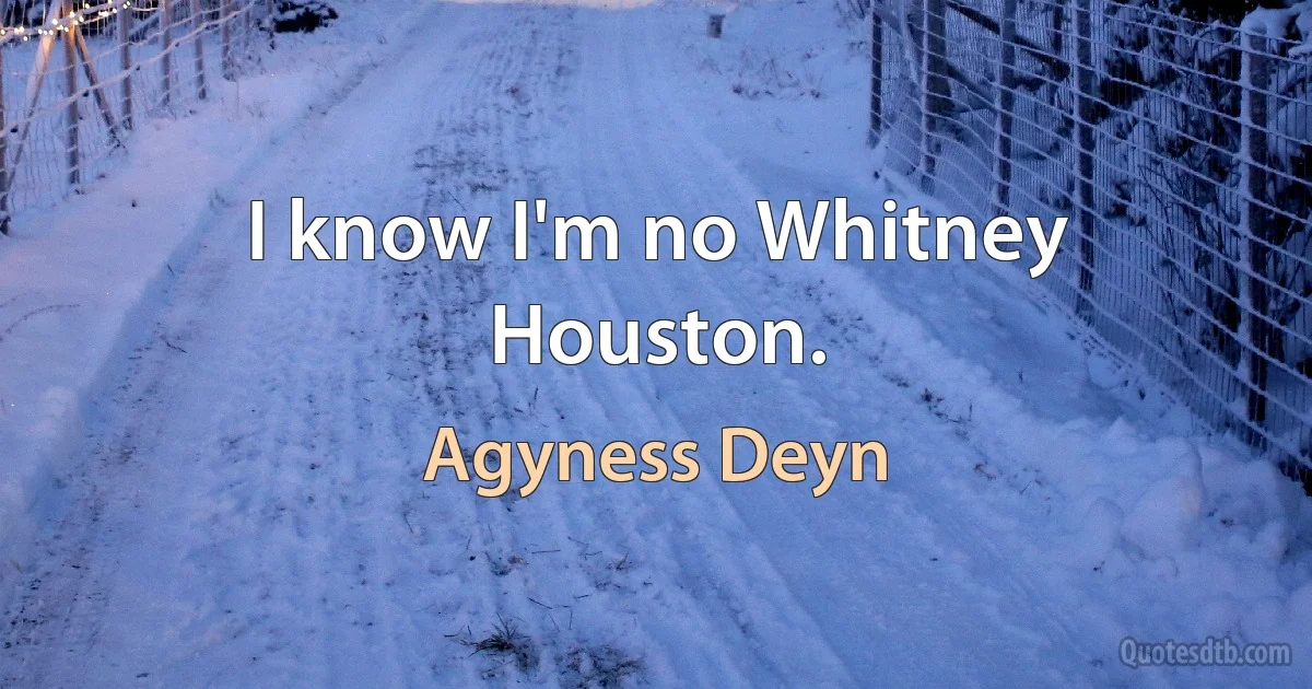 I know I'm no Whitney Houston. (Agyness Deyn)