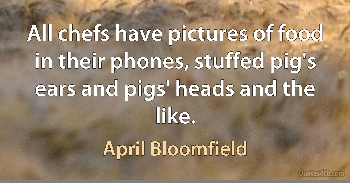 All chefs have pictures of food in their phones, stuffed pig's ears and pigs' heads and the like. (April Bloomfield)