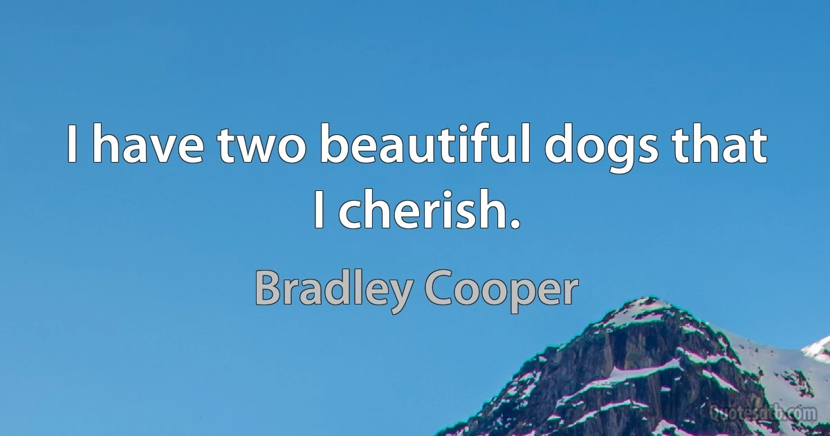 I have two beautiful dogs that I cherish. (Bradley Cooper)