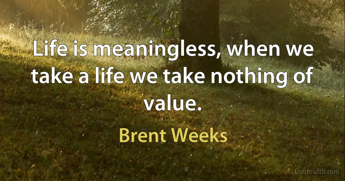 Life is meaningless, when we take a life we take nothing of value. (Brent Weeks)