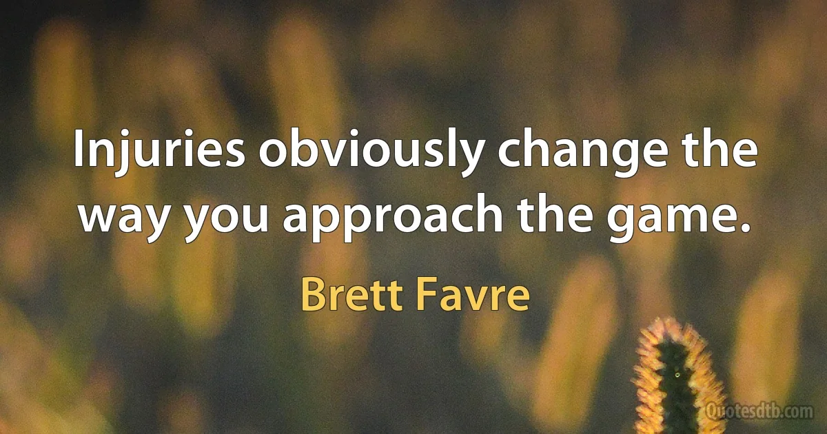 Injuries obviously change the way you approach the game. (Brett Favre)