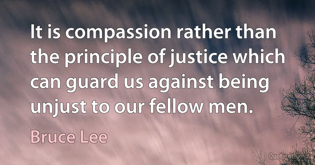 It is compassion rather than the principle of justice which can guard us against being unjust to our fellow men. (Bruce Lee)