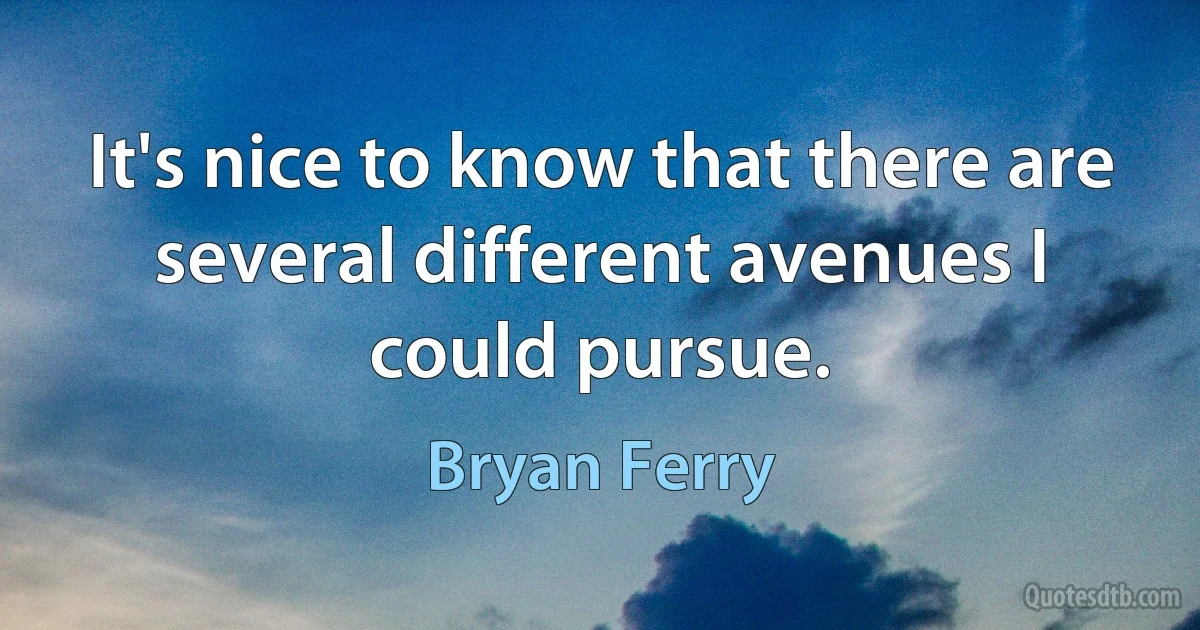 It's nice to know that there are several different avenues I could pursue. (Bryan Ferry)