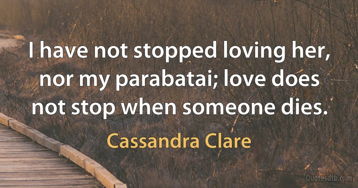 I have not stopped loving her, nor my parabatai; love does not stop when someone dies. (Cassandra Clare)