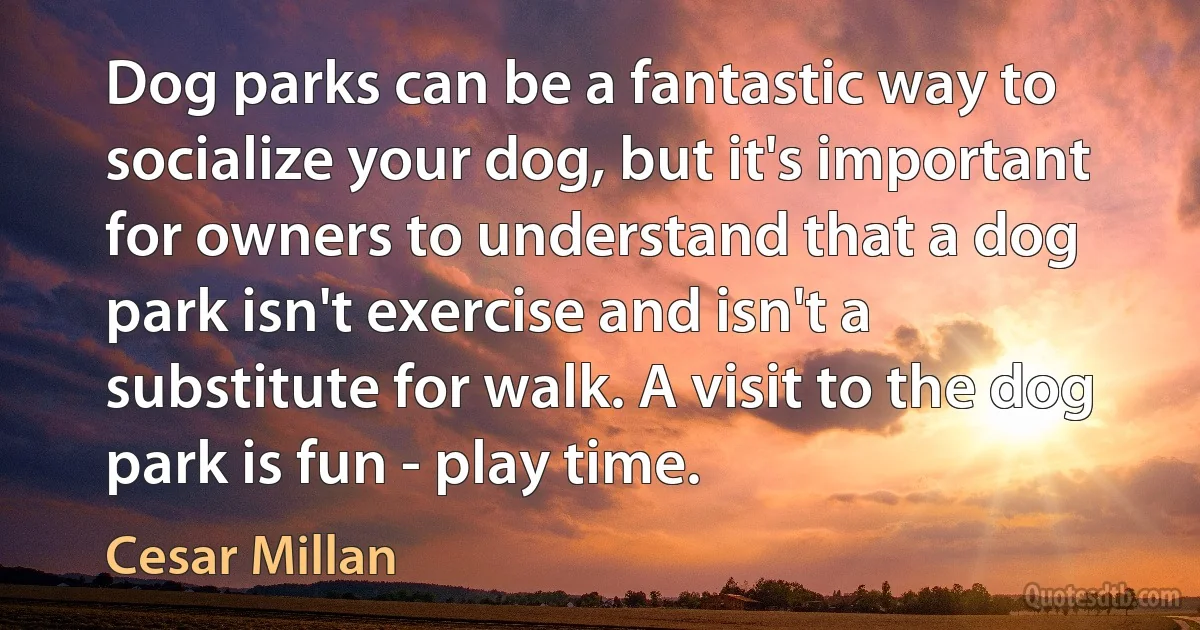 Dog parks can be a fantastic way to socialize your dog, but it's important for owners to understand that a dog park isn't exercise and isn't a substitute for walk. A visit to the dog park is fun - play time. (Cesar Millan)