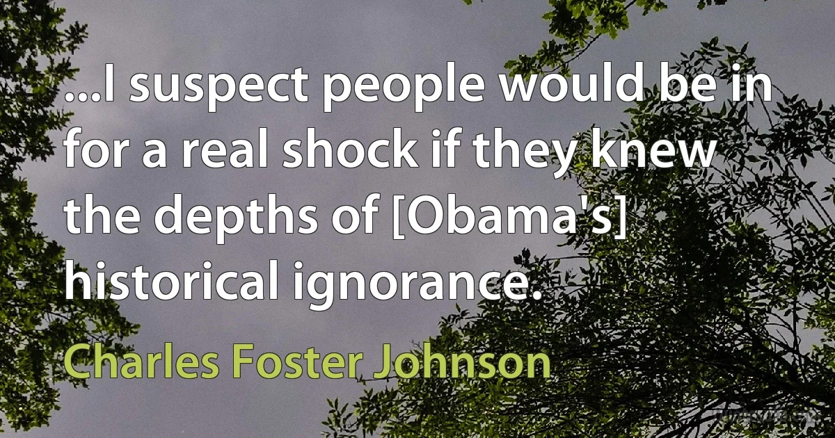 ...I suspect people would be in for a real shock if they knew the depths of [Obama's] historical ignorance. (Charles Foster Johnson)