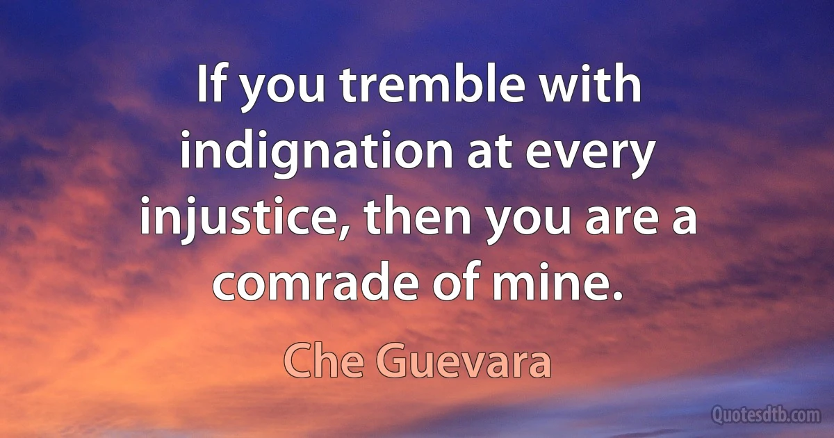 If you tremble with indignation at every injustice, then you are a comrade of mine. (Che Guevara)