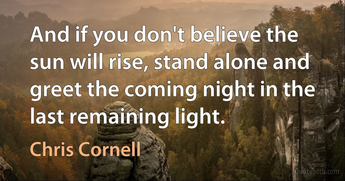 And if you don't believe the sun will rise, stand alone and greet the coming night in the last remaining light. (Chris Cornell)