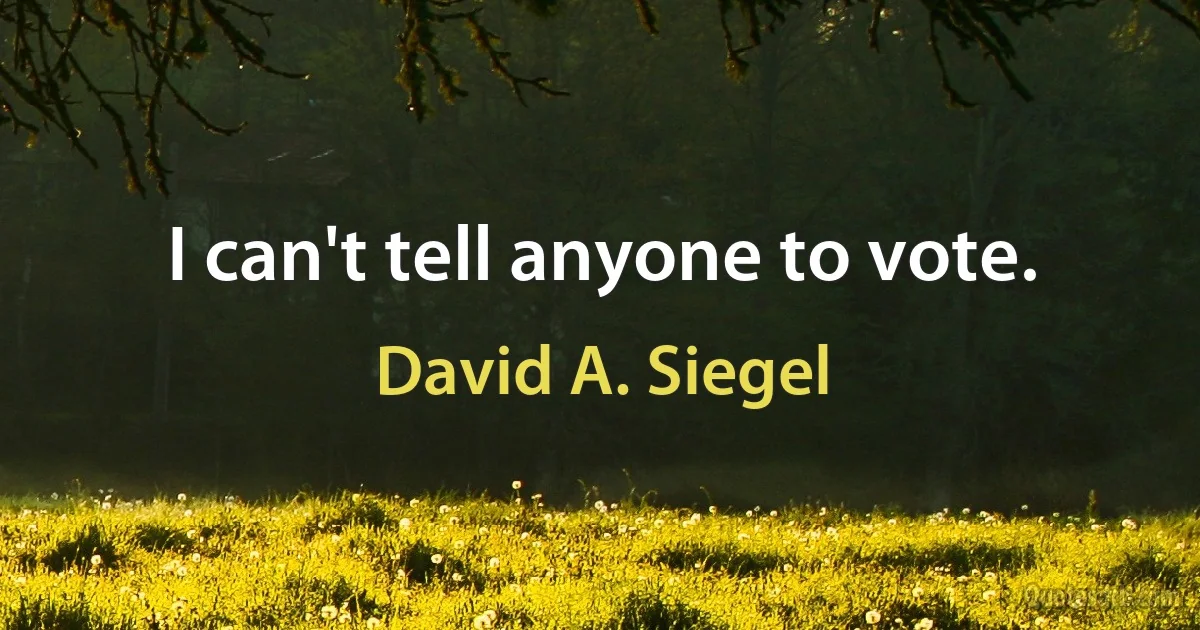 I can't tell anyone to vote. (David A. Siegel)