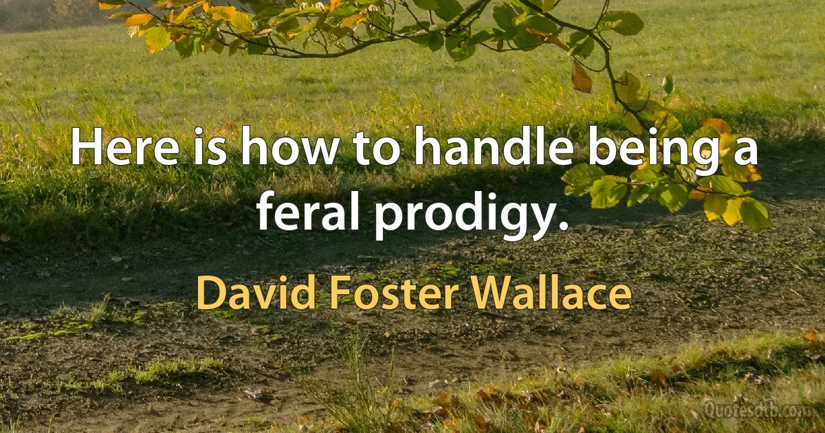 Here is how to handle being a feral prodigy. (David Foster Wallace)