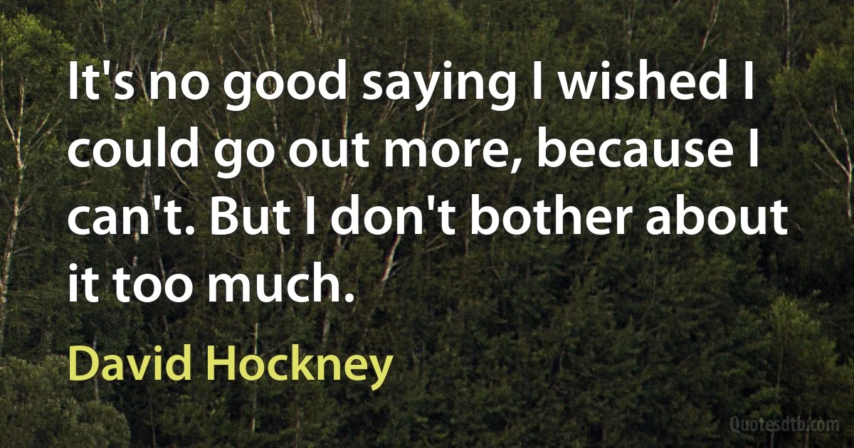 It's no good saying I wished I could go out more, because I can't. But I don't bother about it too much. (David Hockney)